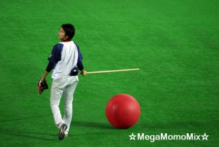 �G�ɂȂ�V�g�����i��`��j